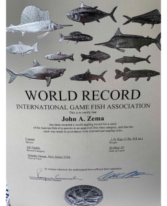JohnZema_FishingCartersMarina_PtPleasantNJ08